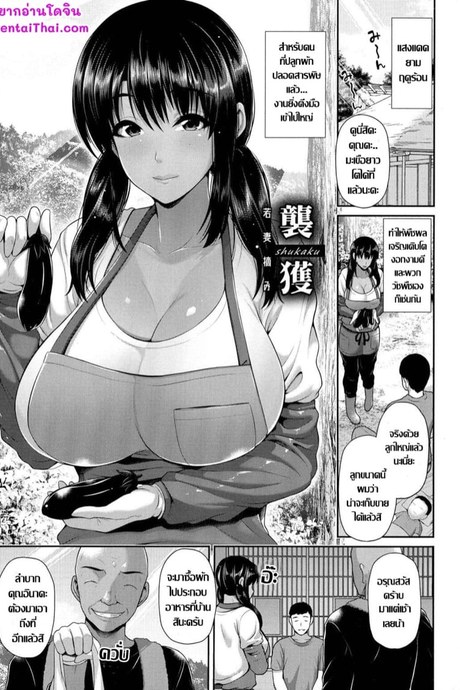 ชั้นเชิงขิงแก่ ไม้เด็ดสอยคุณนายสาว
