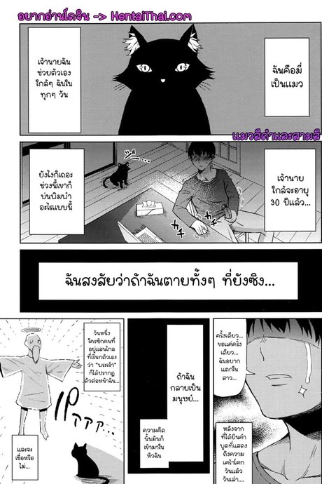 แมวเป็นคน