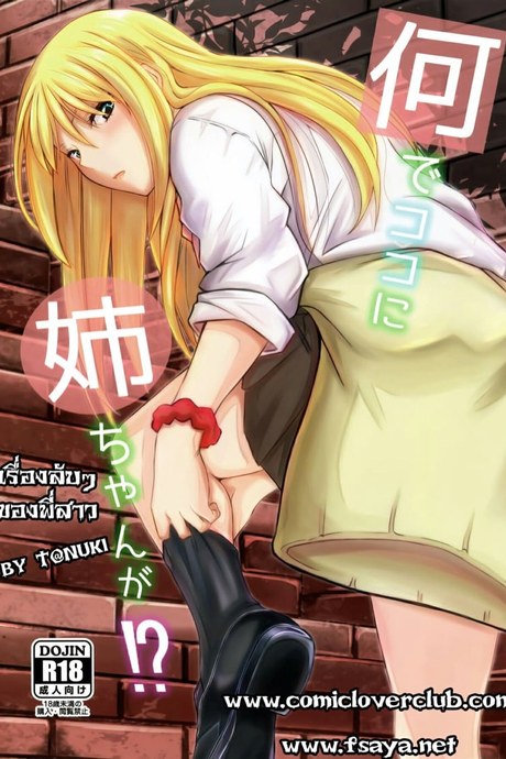 เรื่องลับๆ ของพี่สาว