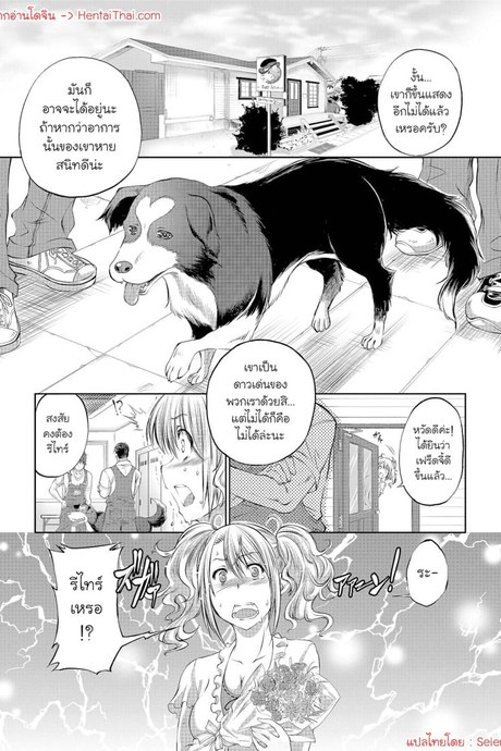 ลุยไปเลย! เฟร็ดจี้!