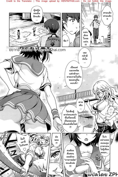 จุดวิกฤตของอาโออิ