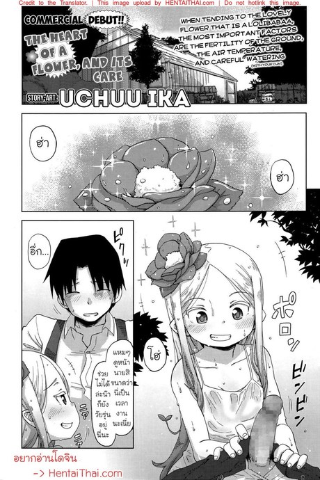 เทคนิคการดูแลหัวใจของดอกไม้