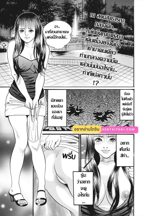 คุณนายของขาด กับค่ำคืนในสวนสาธารณะ
