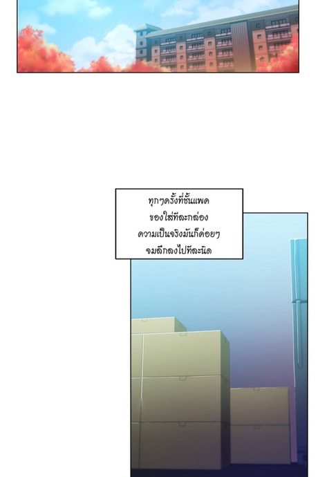 โซลมี แชแนล 43