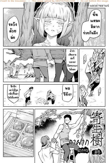 กาฝาก 4 จบ
