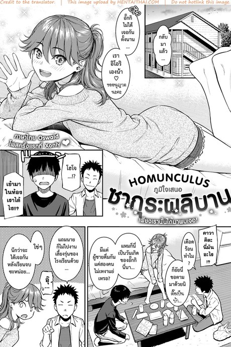 ซากุระผลิบาน