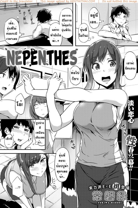 หนุ่มเหล่ตามอง สาวจ้องจะเอา