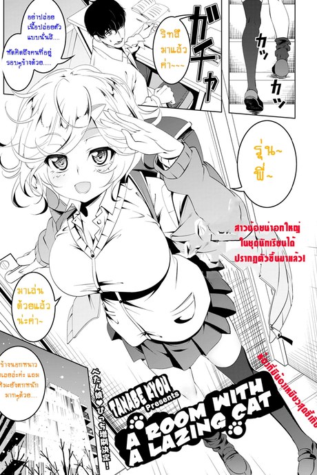 ห้องที่มีน้องเหมียวสุดขี้เกียจ