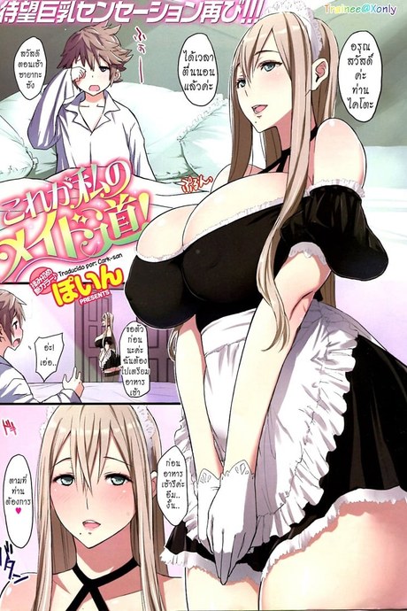 การทำงานของสาวรับใช้ประจำวัน