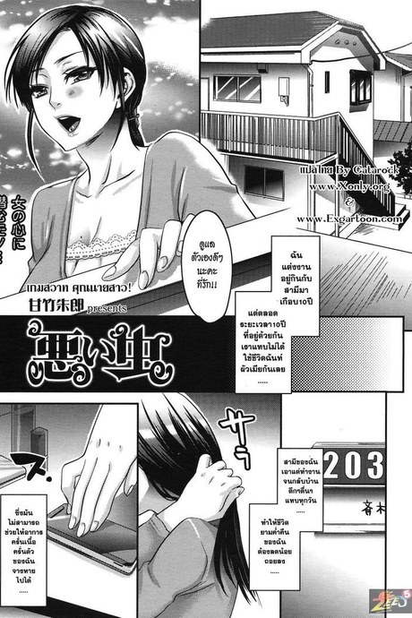เกมสวาทคุณนายสาว
