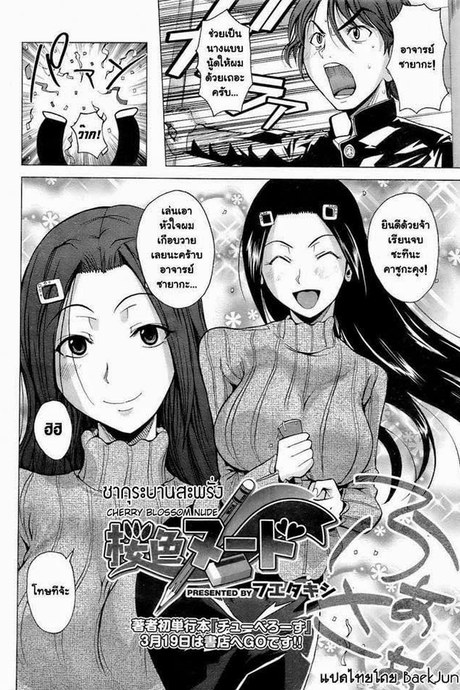 ดอกซากุระที่บานสะพรั่ง