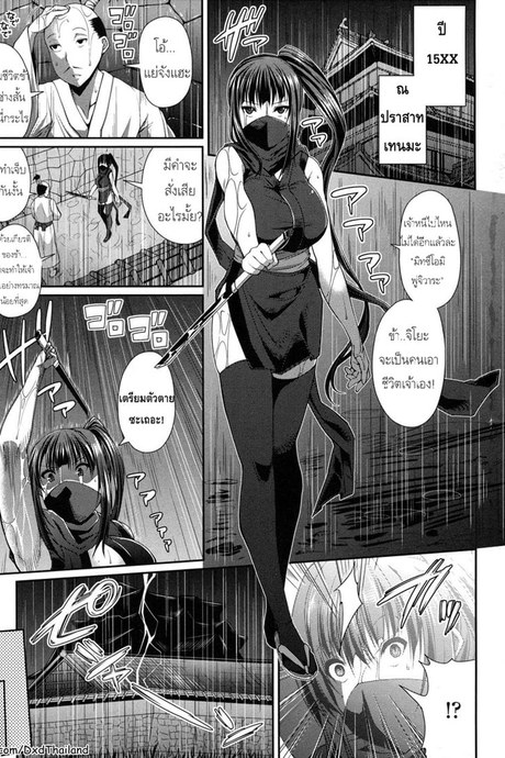 เธอคือนินจาอย่างนั้นหรือ