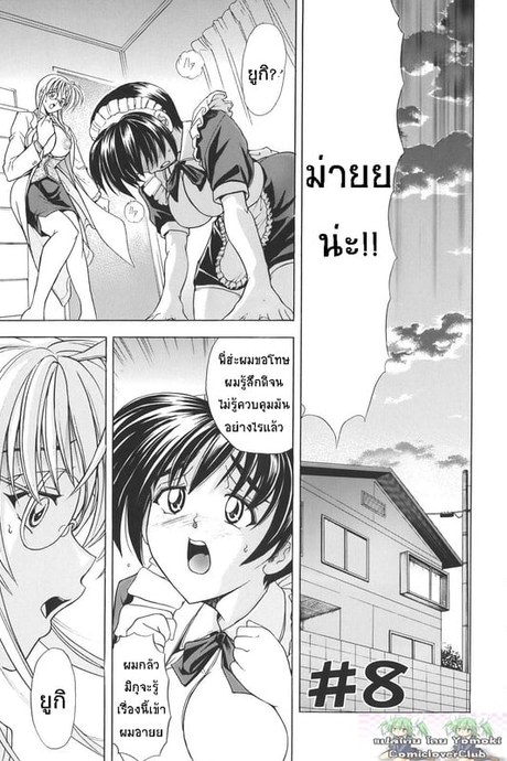 เอามาก๊อปแล้วก็ปี้ 8 จบ