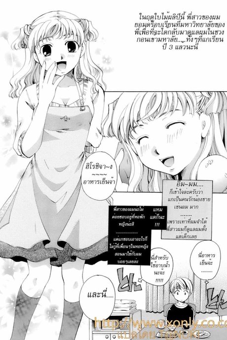 แด่พี่น้องผู้อ่อนโยน