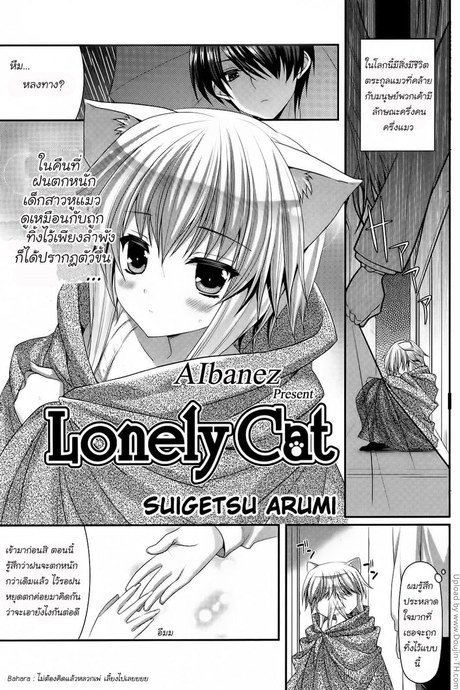 ข้อดีของการเลี้ยงแมว