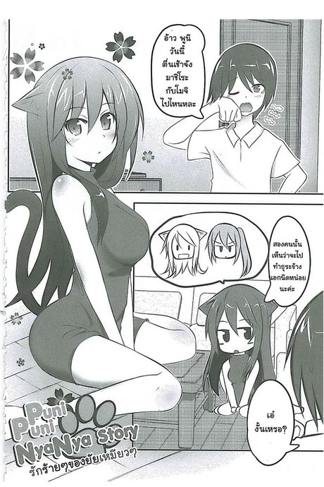 รักร้ายๆ ของยัยเหมียวๆ