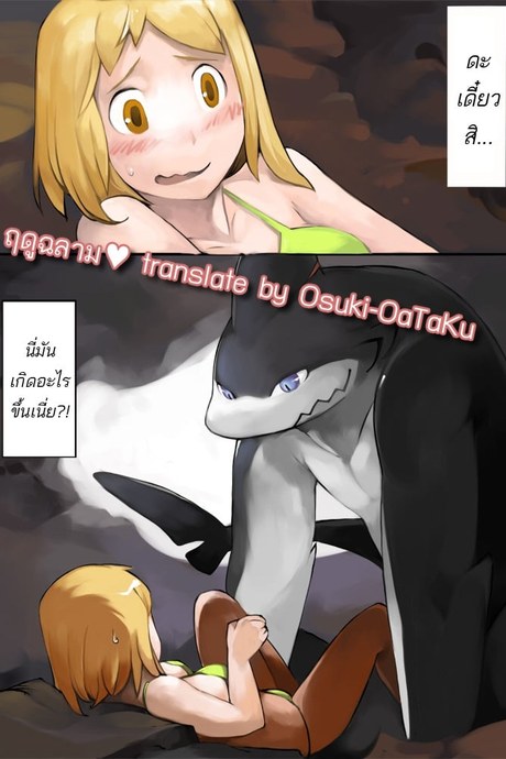 ฤดูฉลาม