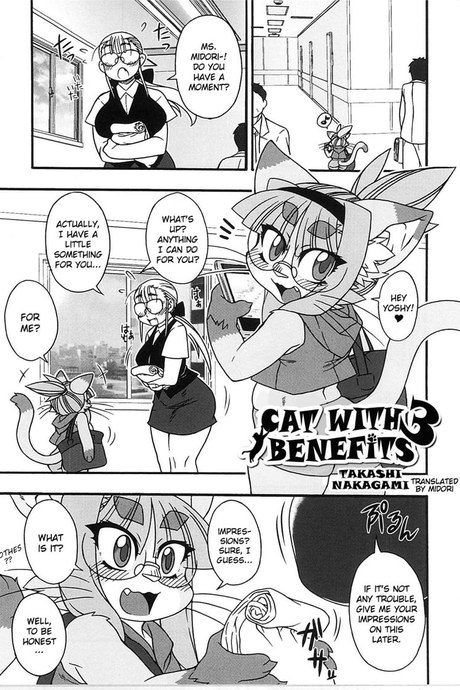 Midori's Neko Kano 3