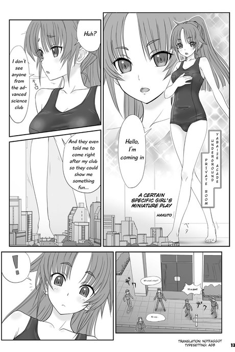 A Certain Specific Girl's Miniature Play
