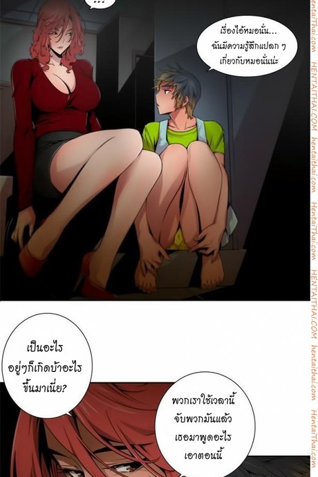 Sow 8