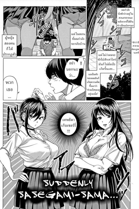 เทพธิดาเก็บเชอร์รี่ [Chicken] Sasegami-sama wa Totsuzen ni Suddenly Sasegami-sama (Suki ni Shiyagare)