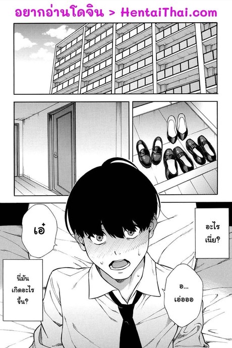 แบ่งแฟนกันใช้