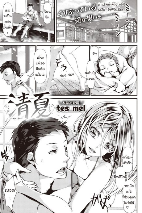 ถ่านไฟเก่า [Tes_Mel] Seika