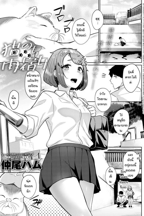 ชอบแมวแล้วก็ชอบรุ่นพี่ด้วย [Nakao Ham] Neko no chiamayadori