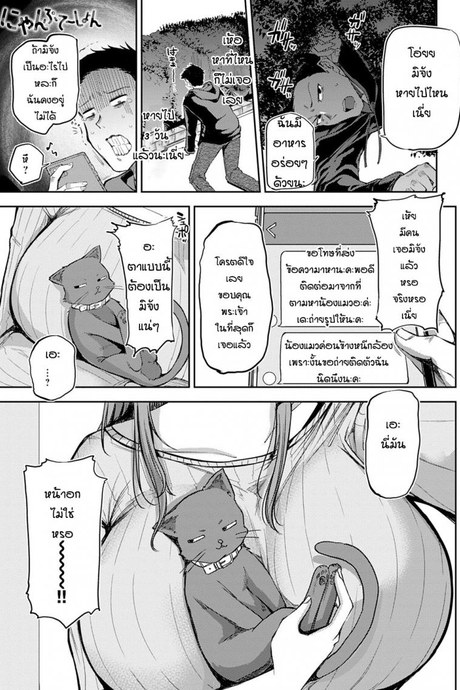 หาแมวจนได้เรื่อง [Miyoshi] Nyanptation