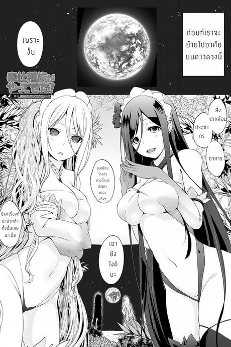 สิ่งมีชีวิตที่น่าสนใจ [Kaiduka] Houshi Shuzoku ga Yattekita!