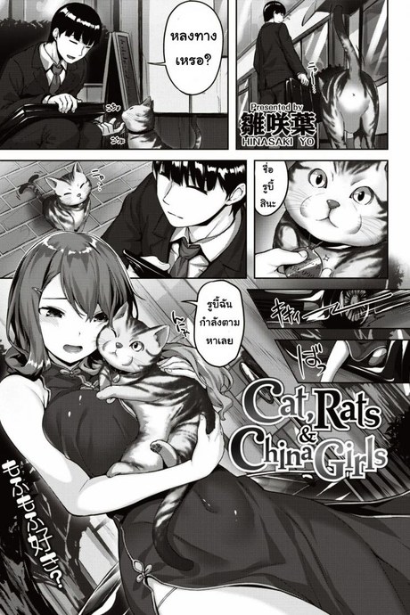 เจอแมวหลงทาง [Hinasaki yo] Cat, Rats&China Girls