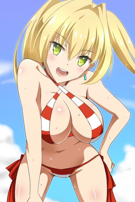 [hara3131] 夜這いネロと水着ネロまとめ