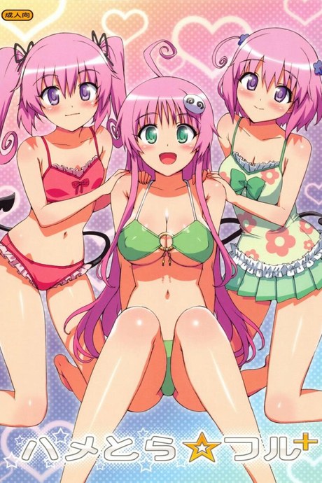 ชายที่เหมาะสม [Hame Tora Full]