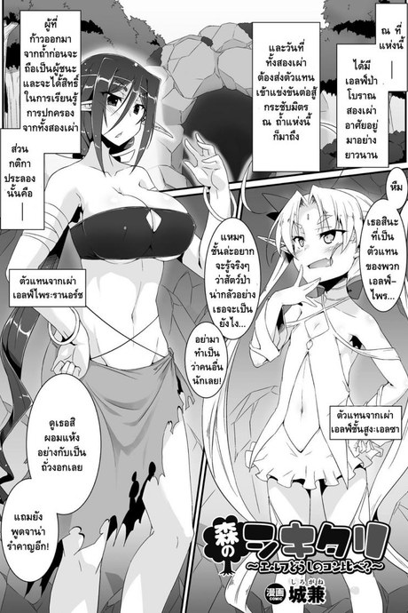 การแข่งขันกระชับมิตร [Shirogane] Mori no Shikitari ~Erufu Doushi no Kon Kurabe?~ (2D Comic Magazine Futanari Battle Fuck!! Vol. 2)