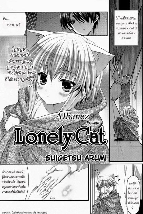 เด็กหูแมว [Suigetsu Arumi] Lonely Cat (Comic Potpourri club 12-2012)