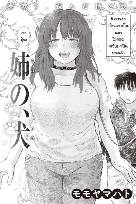 ความผิดพลาดของพี่สาว [Momoyamahato] Ane no inu