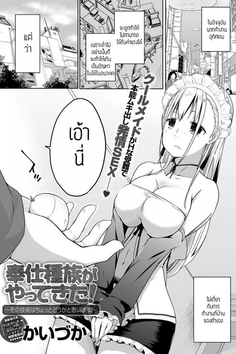 ทำงานอุทิศตน [Kaiduka] Houshisyuzoku yattekita