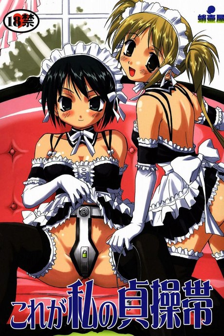 เข็มขัดพรหมจรรย์ [Takotsuboya (TK)] Kore ga Watashi no Teisoutai