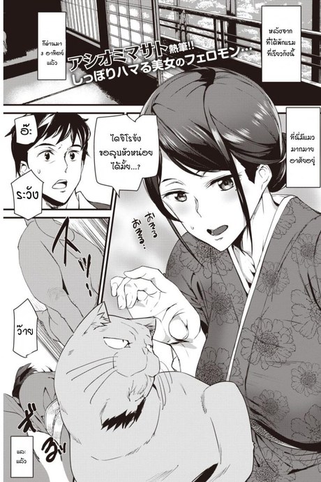 น้องแมวที่บ่อออนเซ็นของคุณนายเจ้าของเรียวกัง .[Ashiomi Masato] Nekoonsen no wakaokami