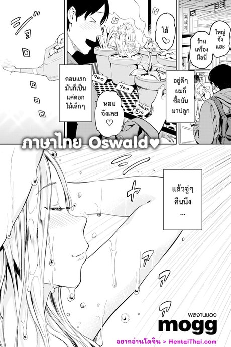 สาวดอกไม้